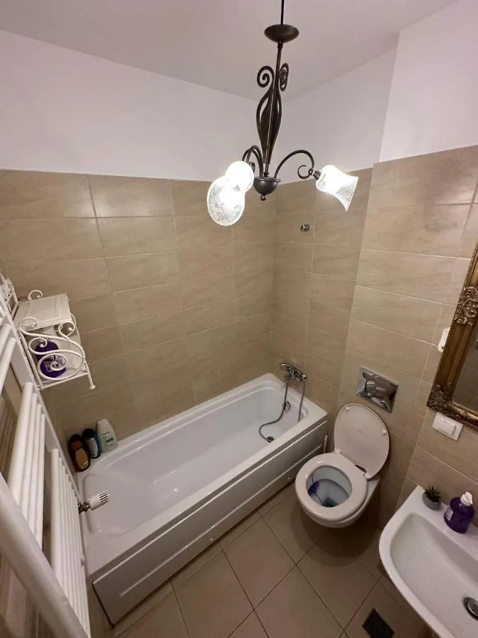 Mihai Bravu Apartment 布加勒斯特 罗马尼亚